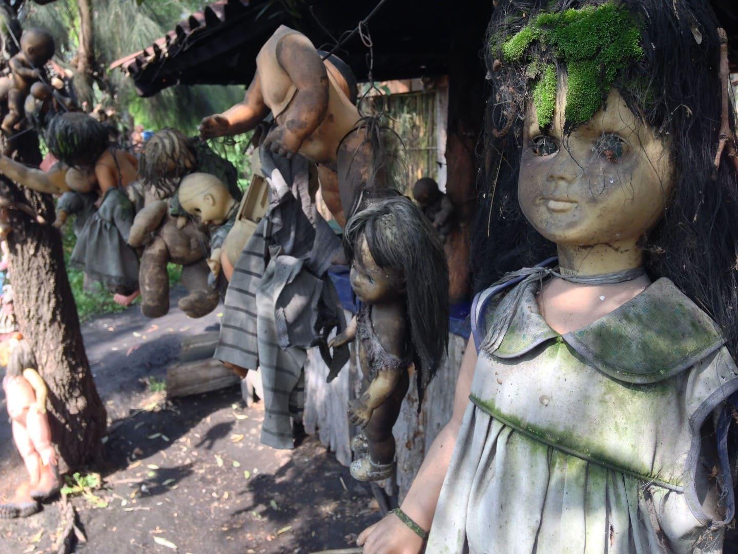 Dolls in the Isla de las Muñecas 