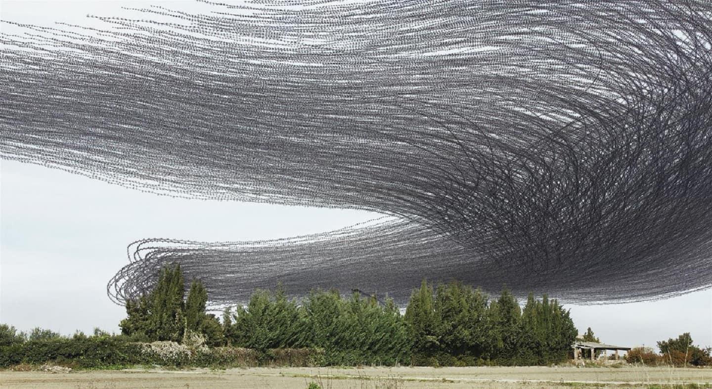 Ornitography: Immortalising the flight of birds