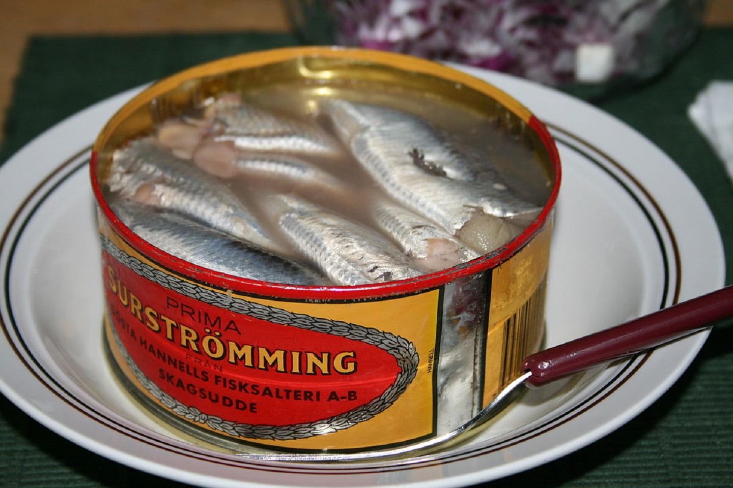 Sürstromming, a delicatessen that horribly stinks