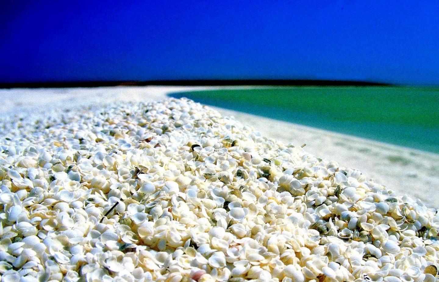 Shark Bay Beach, Australia