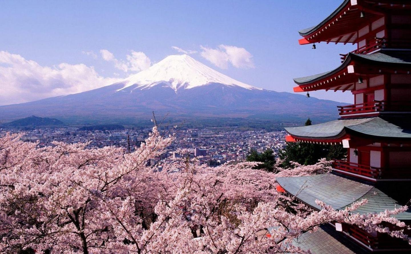 Temple Tokyo Fuji Mountain