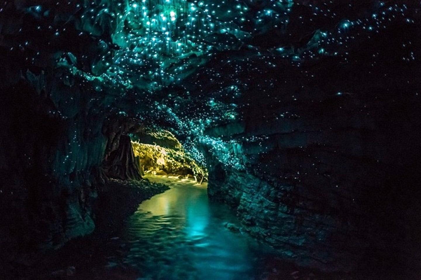 Waitomo Glow worm caves 