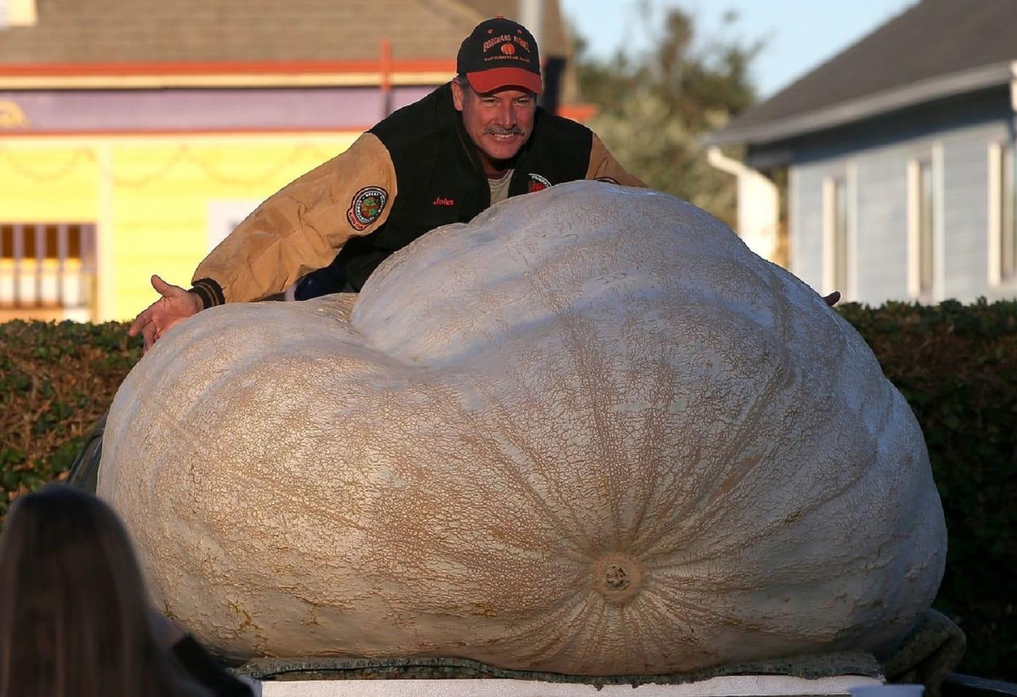 Pumpkins that break the One-Ton barrier