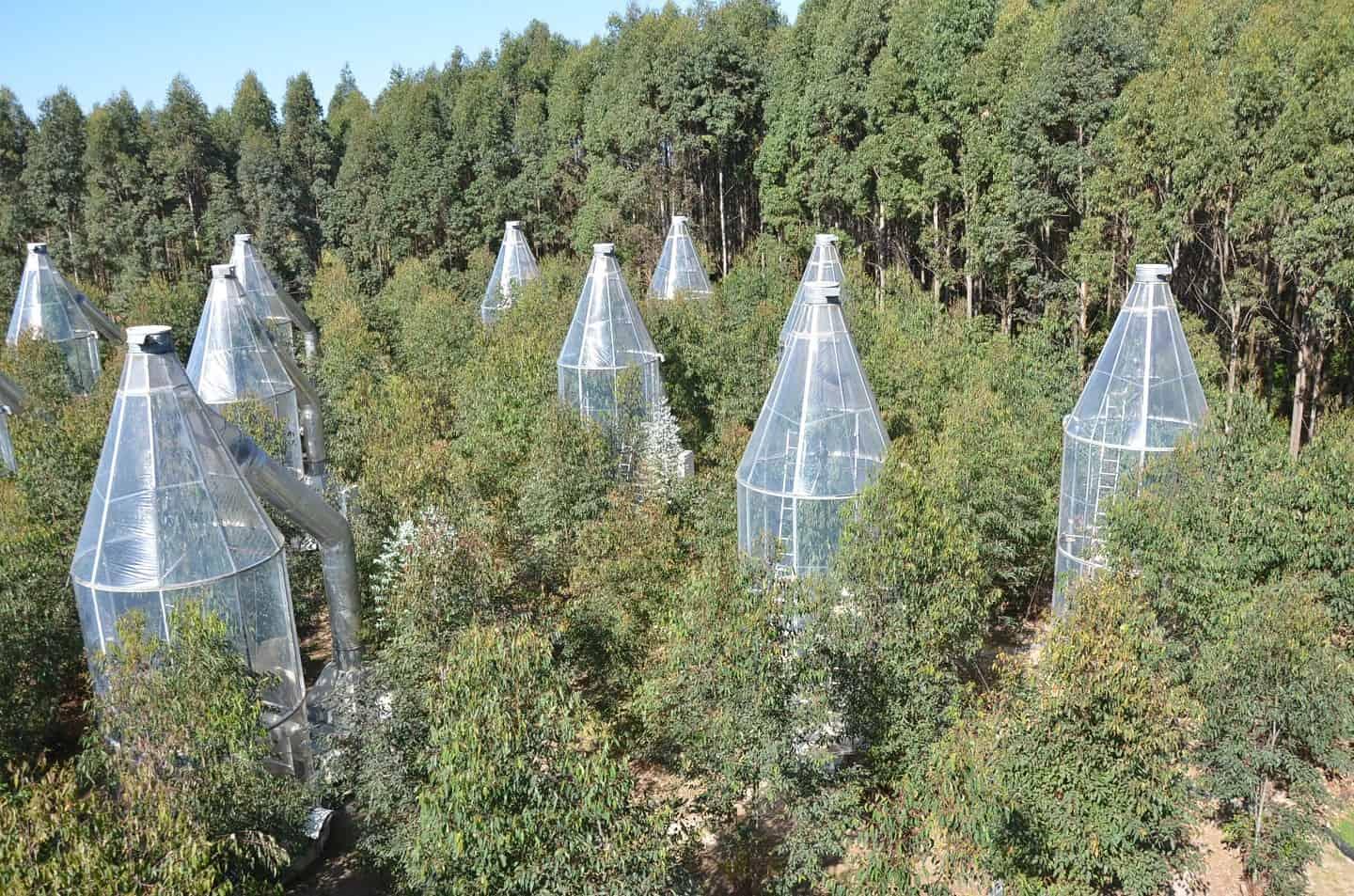 Individual greenhouses were used to increase the temperature