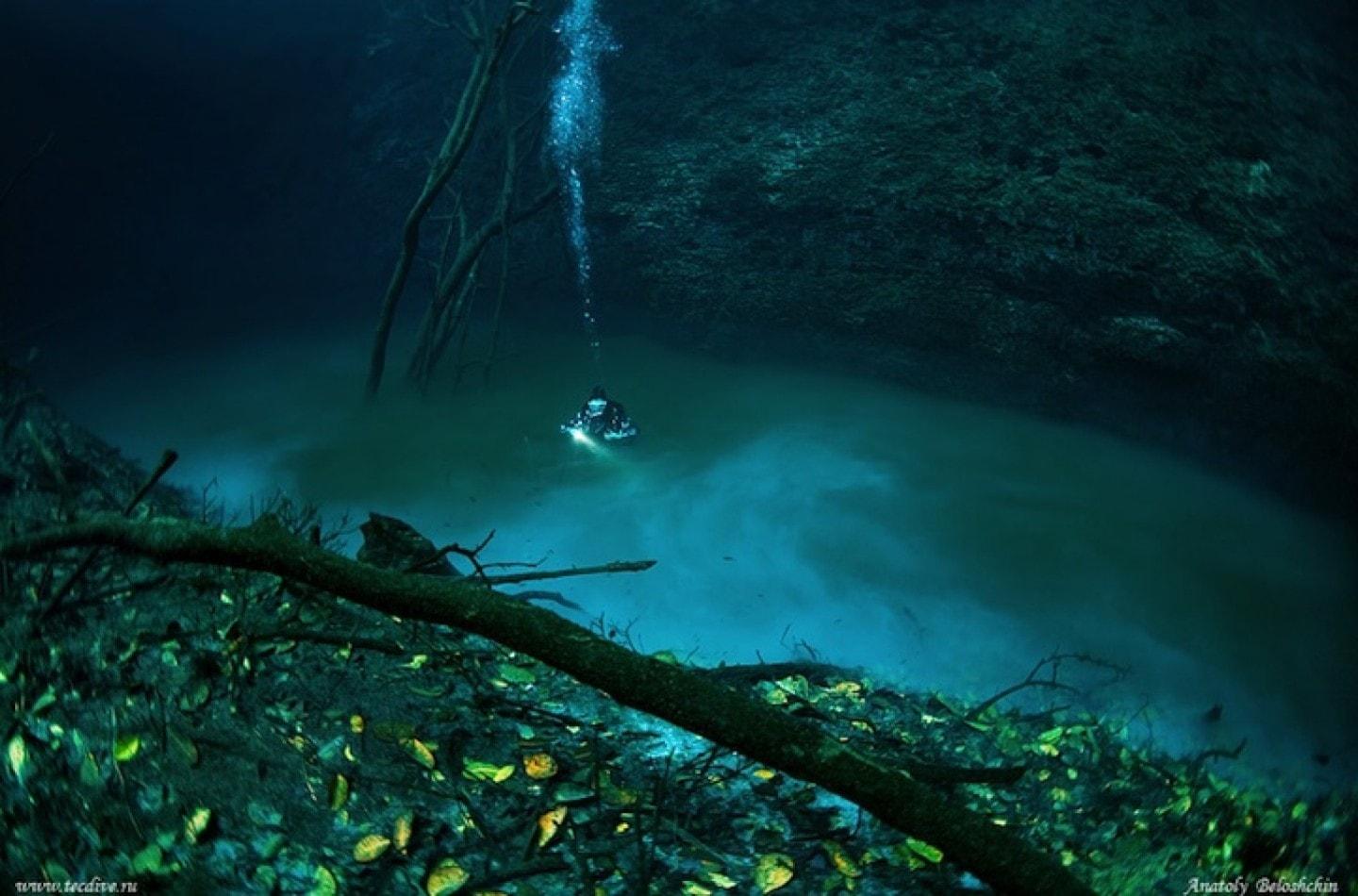 Angelita Cenote underwater river