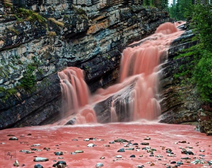 Cascada Cameron color rosa