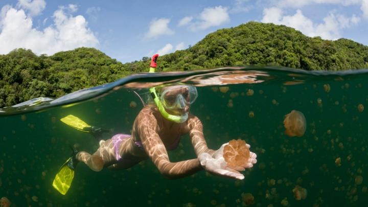 Lago Jellyfish archipiélago Palau