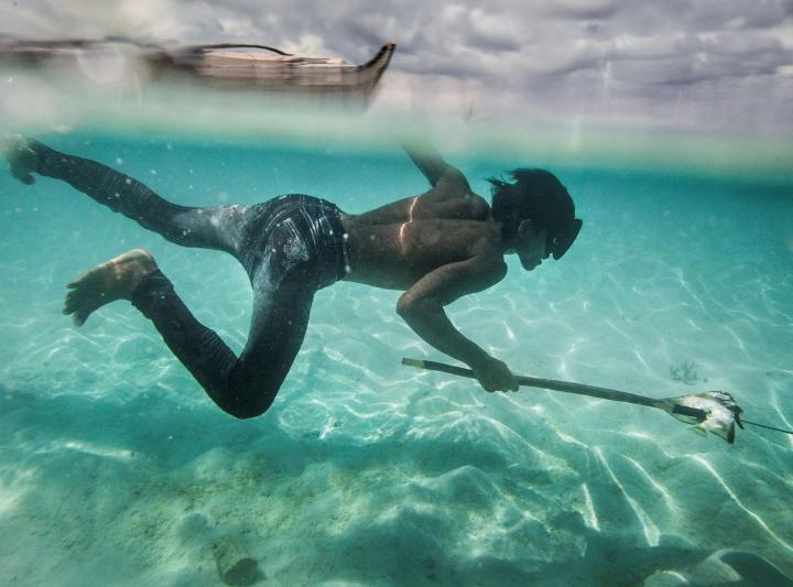 Bajau buceando genéticamente evolucionado