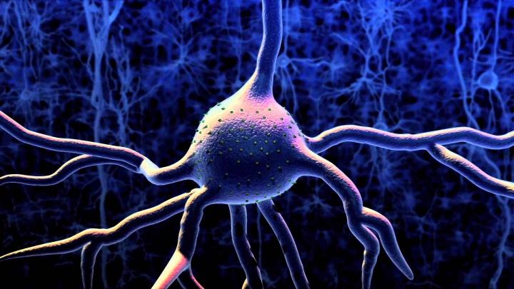 Optogenética, la ciencia que ilumina neuronas