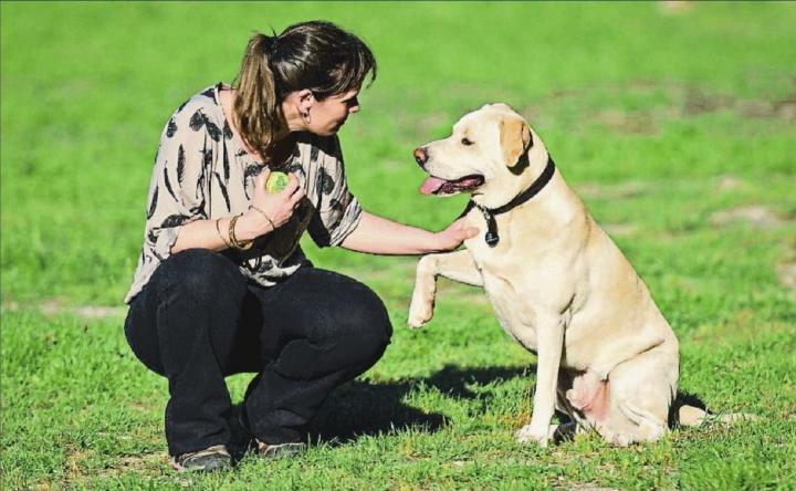 Perro capaz de detectar el cancer de pulmón