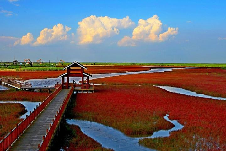 Playa Roja en Panjin, un asombroso paisaje