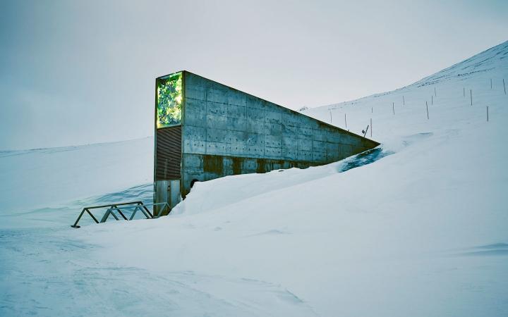 Acceso al Banco Mundial de Semillas de Svalbard